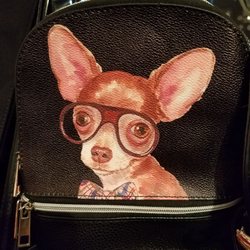 The Foo Foo Shoppe - Look familiar to my furry baby.