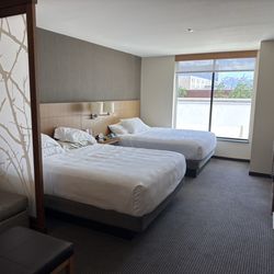Hyatt Place Provo - 2 queen beds (and the unfortunate view out of my window)