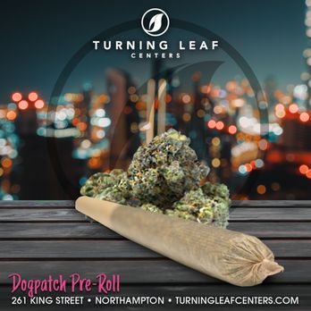 Turning Leaf Centers - Northampton - Cannabis Dispensaries Near Me - Northampton, Massachusetts Turning Leaf Centers - Northampton - Cannabis Dispensaries Near Me - Northampton, Massachusetts