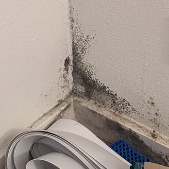 Karbon - Black mold - Apartments Near Me - Newcastle, Washington Karbon - Black mold - Apartments Near Me - Newcastle, Washington