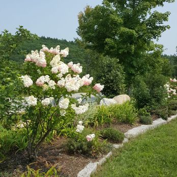 Pietree Orchard 10 Photos 14 Reviews Fruits Veggies 803 Waterford Rd Sweden Me Phone Number