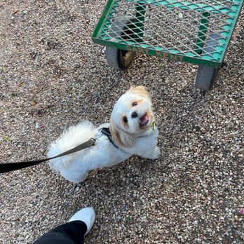 Barton Springs Nursery - Pet friendly :) - Nurseries & Gardening Near Me - Austin, Texas