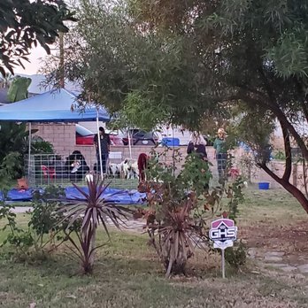 Party Ponies And Pets - Petting zoo - Kids Activities Near Me - Pinon Hills , California Party Ponies And Pets - Petting zoo - Kids Activities Near Me - Pinon Hills , California