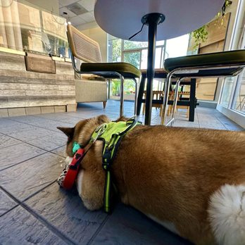 Meera Coffee & Plants - My Akita - Creperies Near Me - Simi Valley, California Meera Coffee & Plants - My Akita - Creperies Near Me - Simi Valley, California