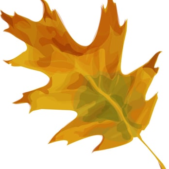 Landmark Tree Care - Tree Services Near Me