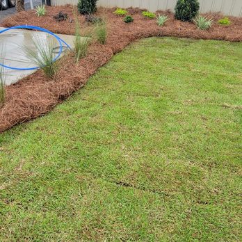 Southern Appeal Landscape - New Sod and Flower Beds - Landscaping Near Me - Saraland, Alabama Southern Appeal Landscape - New Sod and Flower Beds - Landscaping Near Me - Saraland, Alabama
