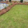 Photo of Southern Appeal Landscape