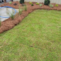 Southern Appeal Landscape