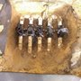 Photo of SprinkleRight