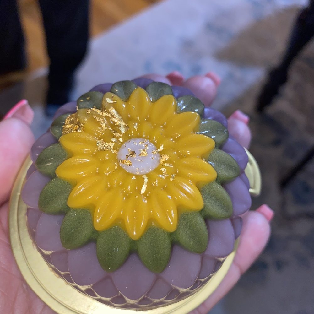 Mishka - How could anyone not want to eat this?! - Pet Stores Near Me - San Francisco, California