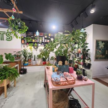 Roots Plant Exchange - Home & Garden Near Me - Salisbury, North Carolina Roots Plant Exchange - Home & Garden Near Me - Salisbury, North Carolina