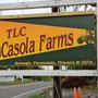 TLC Casola Farms