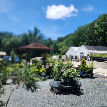 Atlantic Gardening Company - Nurseries & Gardening Near Me - Raleigh, North Carolina