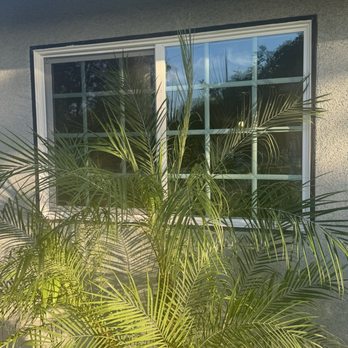 Precision Windows and Glass - Window replacement - Glass & Mirrors Near Me Precision Windows and Glass - Window replacement - Glass & Mirrors Near Me