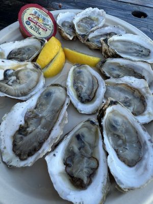 Menemsha Fish Market by null