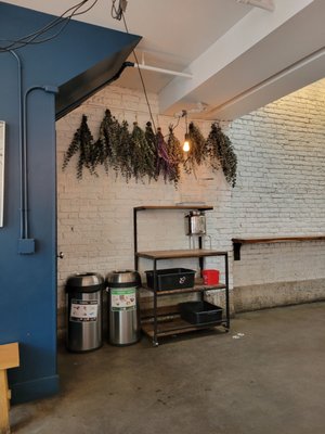 Linea Caffe by null
