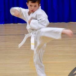 Center For Martial Arts - Focus for his kicks