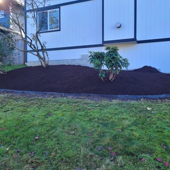 Felix’s Landscape - Nuevas camas - Landscaping Near Me