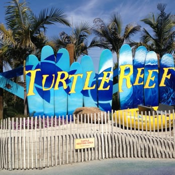 Turtle Reef at Sea World - Aquariums Near Me - San Diego, California Turtle Reef at Sea World - Aquariums Near Me - San Diego, California
