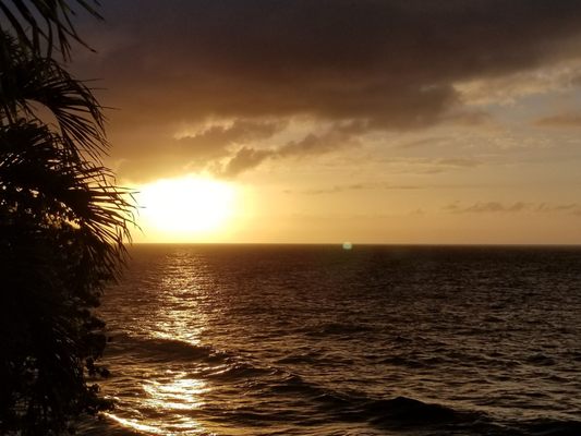 Carambola Beach Resort St. Croix, US Virgin Islands by null