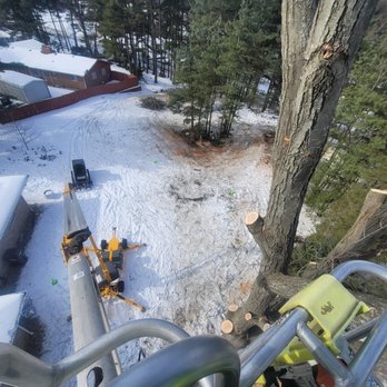 Chapin Services - Tree Services Near Me