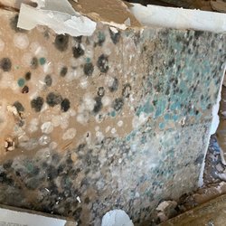 First Class Air & Restoration