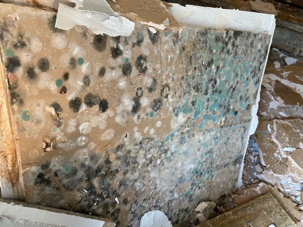 First Class Air & Restoration - mold inspector in Crandall, TX