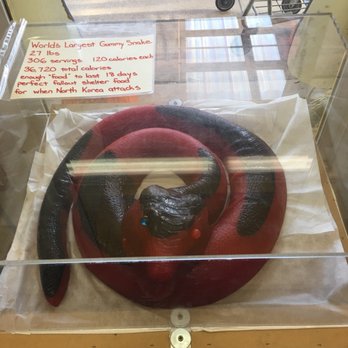 Minnesota's Largest Candy Store - 27 pounds of gummy snake- seriously! - Candy Stores Near Me - Jordan, Minnesota Minnesota's Largest Candy Store - 27 pounds of gummy snake- seriously! - Candy Stores Near Me - Jordan, Minnesota