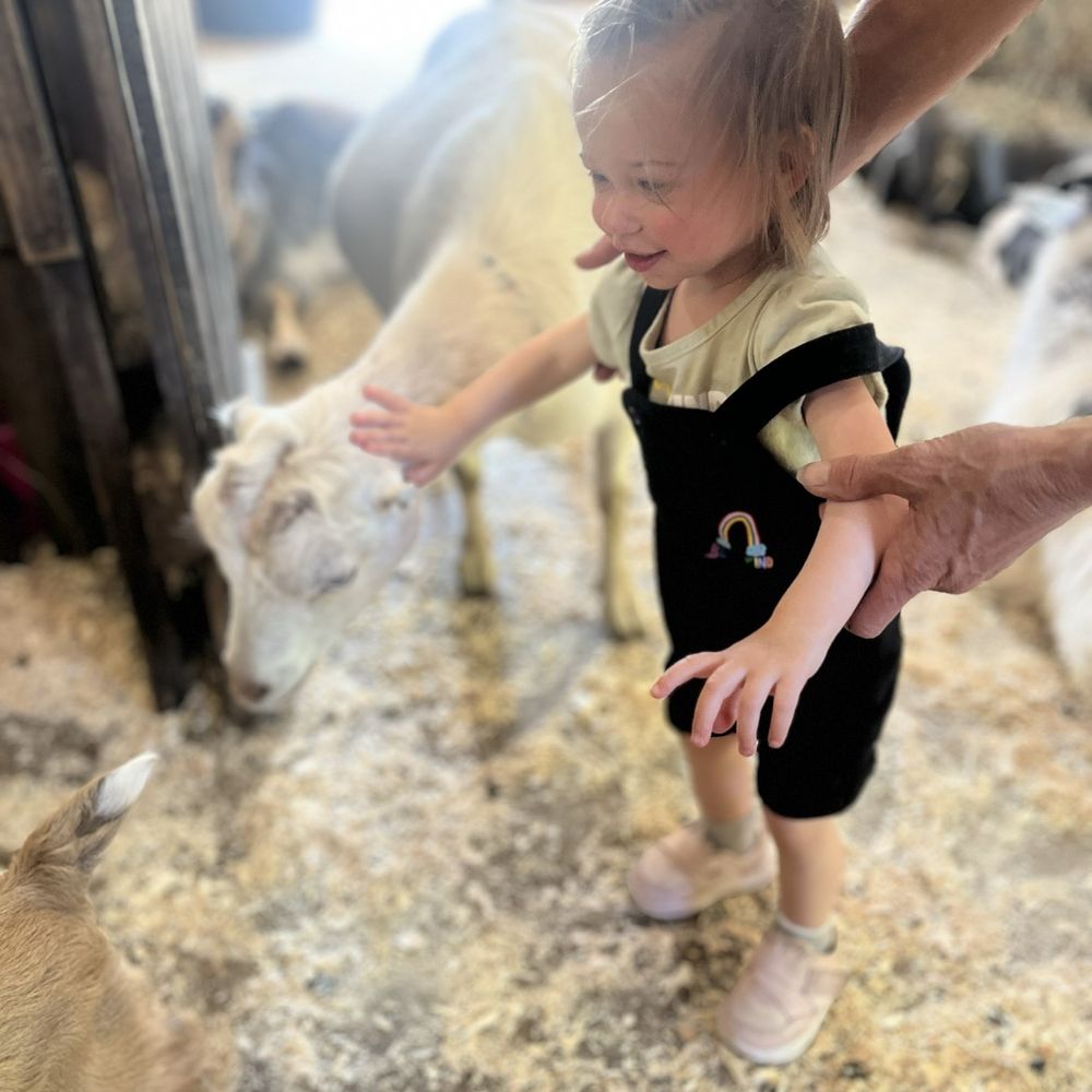 Rowandale Goat Farm - Farms Near Me - Colden, New York Rowandale Goat Farm - Farms Near Me - Colden, New York