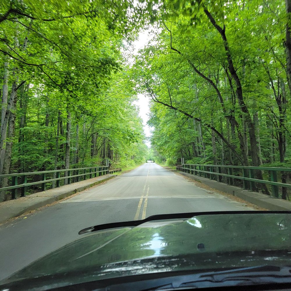 Cedarville State Forest - Parks Near Me - Brandywine, Maryland
