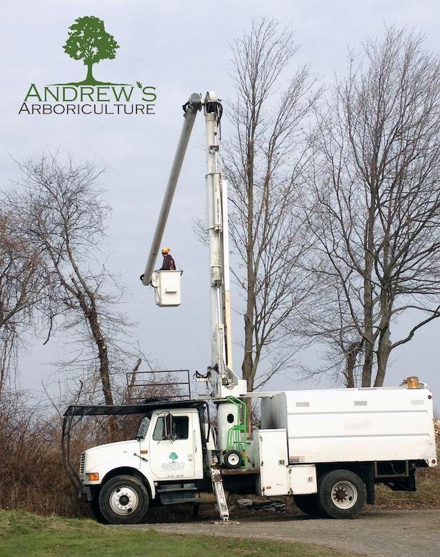 Andrew's Arboriculture - mold inspector in Naugatuck, CT