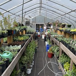 Kalmia Gardens - The greenhouse was pretty cool