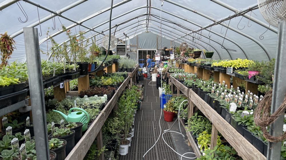 Social spots from Kalmia Gardens