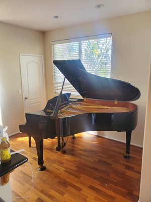 Yari Piano Moving and Repairing - Piano Restoration Services.
Whatever your piano means to you – whether it is beautiful music, a piece of fine art in your living room, or a treasured family heirloom – Yari Piano Services is committed to meeting your expectations with superior restoration.
The Action
The Action is the most complicated portion of your piano, consisting of the thousands of moving parts (hammers, keys, etc). The action is what your fingers directly touch.
The Belly
The Belly consists of the soundboard, bridges, strings, etc., and directly relates to what you hear. The vibrations of the strings are made louder by the soundboard which is basically a giant speaker.The Cabinet
The Cabinet, which is the exterior case, is the most visually aesthetic part of the piano.
artisan-pianos-cabinet
We tailor our services to the needs, desires and budget of our customers. Everything from simple cabinet refinishing to complete restoration. Please feel free to give us a call for a free quote for restoration work on your piano.
Yari Piano Sevice
858-649-9494 Yari Piano Moving and Repairing - Piano Restoration Services.
Whatever your piano means to you – whether it is beautiful music, a piece of fine art in your living room, or a treasured family heirloom – Yari Piano Services is committed to meeting your expectations with superior restoration.
The Action
The Action is the most complicated portion of your piano, consisting of the thousands of moving parts (hammers, keys, etc). The action is what your fingers directly touch.
The Belly
The Belly consists of the soundboard, bridges, strings, etc., and directly relates to what you hear. The vibrations of the strings are made louder by the soundboard which is basically a giant speaker.The Cabinet
The Cabinet, which is the exterior case, is the most visually aesthetic part of the piano.
artisan-pianos-cabinet
We tailor our services to the needs, desires and budget of our customers. Everything from simple cabinet refinishing to complete restoration. Please feel free to give us a call for a free quote for restoration work on your piano.
Yari Piano Sevice
858-649-9494