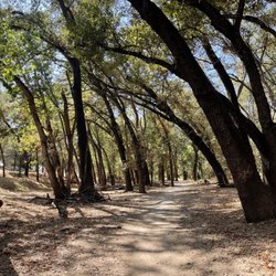 Dry Creek Community Park - Path