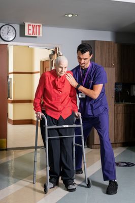 Amsterdam Nursing Home by null