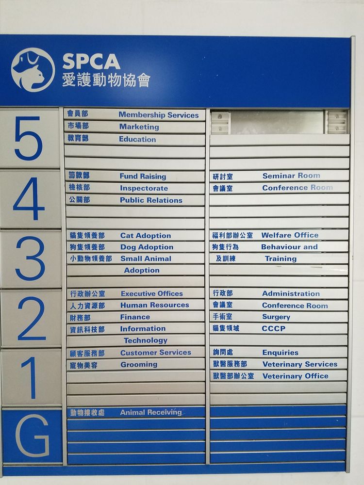 spca hong kong adoption