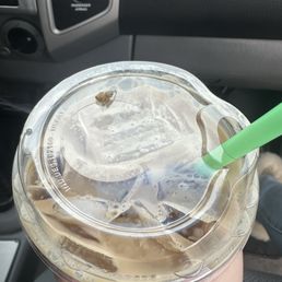 Spider in my drink Spider in my drink