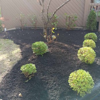 Quality Tree And Landscaping - Tree Services Near Me