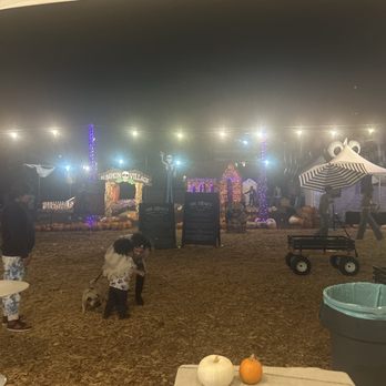 MrBones - Attraction Farms Near Me - Culver City, California MrBones - Attraction Farms Near Me - Culver City, California