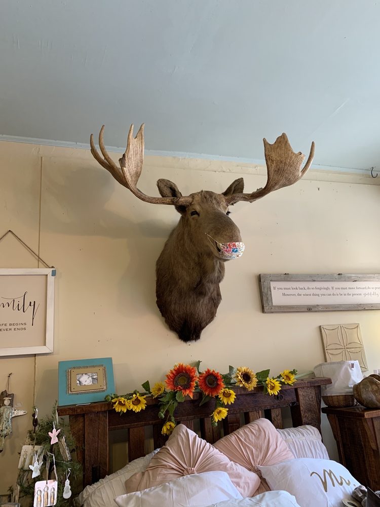 MOUNTAIN TREASURES Updated September 2024 22 Photos & 10 Reviews 14 N Main St, Ellijay