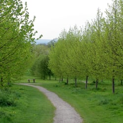 Onslow Village Arboretum