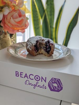 Beacon Doughnuts by null
