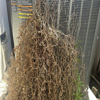 Eco Comfort Cooling & Heating - Before cleaning-a bush was growing out of my air conditioner! - Heating & Air Conditioning/HVAC Near Me