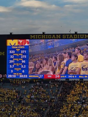 Michigan Stadium by null