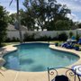 Photo of Palm Tree Pool Supply & Service