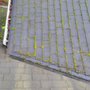 Photo of 101 Roof Cleaning