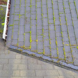 101 Roof Cleaning