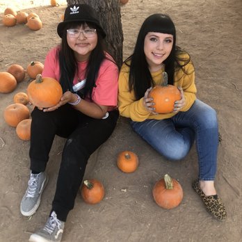 Mother Nature's Farm - Choosing our pumpkins - Farms Near Me - Gilbert, Arizona Mother Nature's Farm - Choosing our pumpkins - Farms Near Me - Gilbert, Arizona