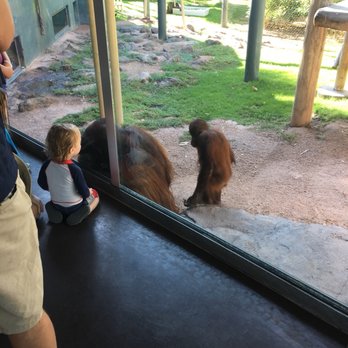 Phoenix Zoo - Very interactive creatures! - Zoos Near Me - Phoenix, Arizona Phoenix Zoo - Very interactive creatures! - Zoos Near Me - Phoenix, Arizona